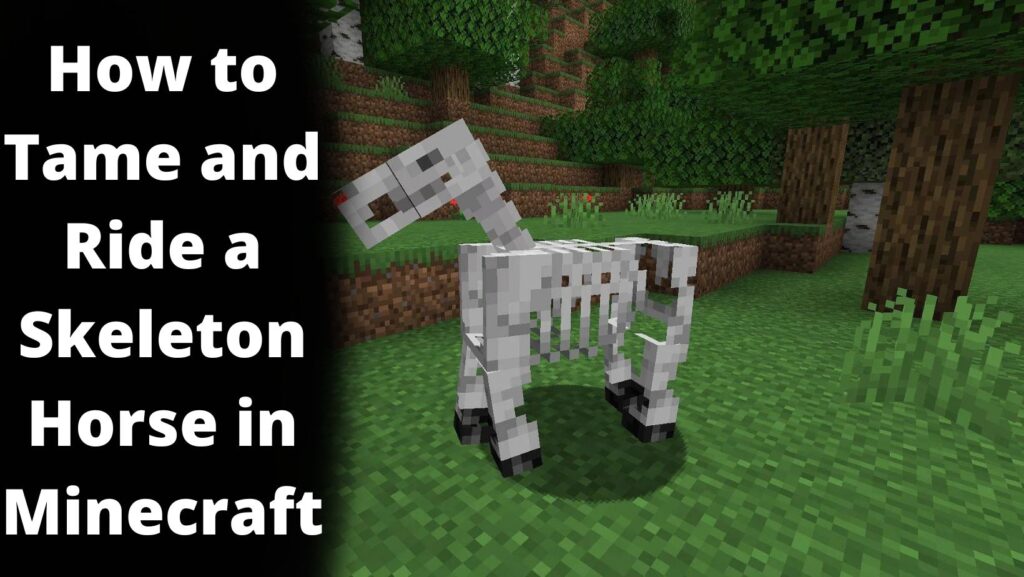 Minecraft Guide: How to Tame and Ride a Skeleton Horse?