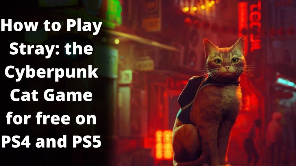 How to Play Stray: the Cyberpunk Cat Game for free on PS4 and PS5?