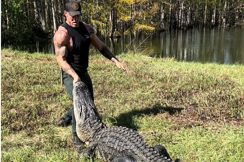 MMA Fighter Taking On A 10-Foot Gator, Insane Video of an Elementary School