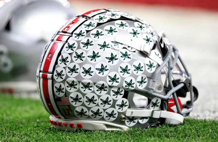 Ohio State Defensive Back Receives Assistance Following Injury